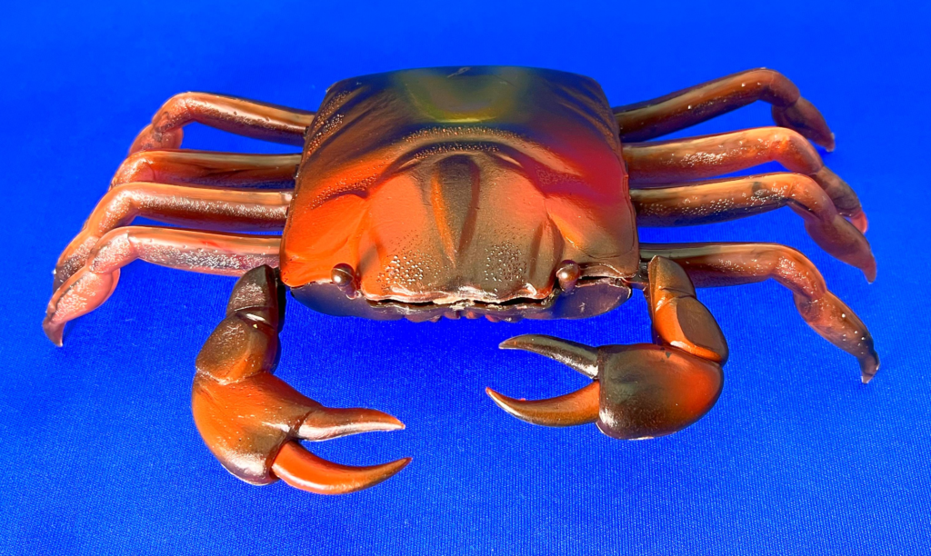 Eidai's plastic model "Benkei Crab"